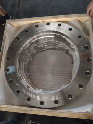 Reborde de la pulgada del reborde BS10 T/E T/D el 1/2 del CS BS4504 PN6 PN40 a 48 de la pulgada WN TAN PL BL