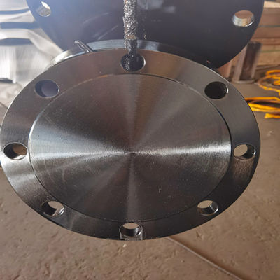 Clase D AWWA C207-07 Ring Blind Flange A105N F304 304L F316 316L de la clase B